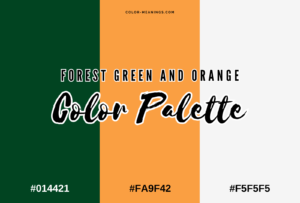 43 Colors That Go With Orange (Color Palettes) - Color Meanings
