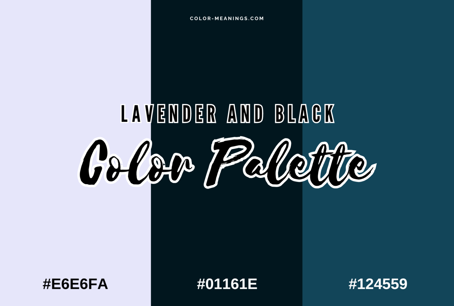 44 Colors That Go With Black (Color Palettes) | Color Meanings