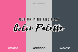 45 Colors That Go With Gray (Color Palettes) | Color Meanings