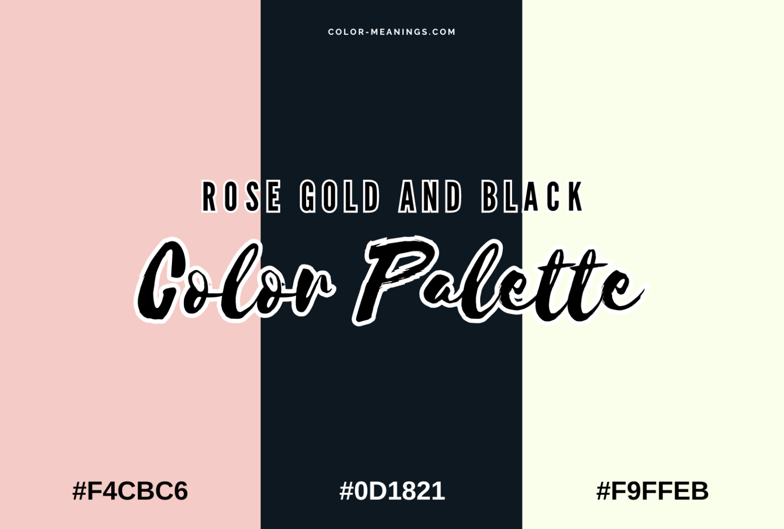 44 Colors That Go With Black (Color Palettes) | Color Meanings
