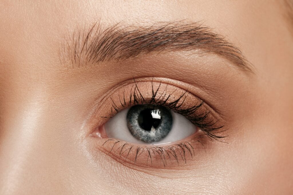 Gray eye up close