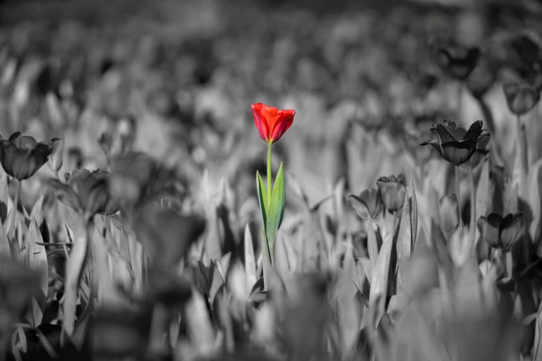 When Colors Collide: How Harmony and Tension Shape Color Psychology ...