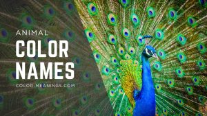18 Wild Hues: Color Names Inspired by Animals Big and Small