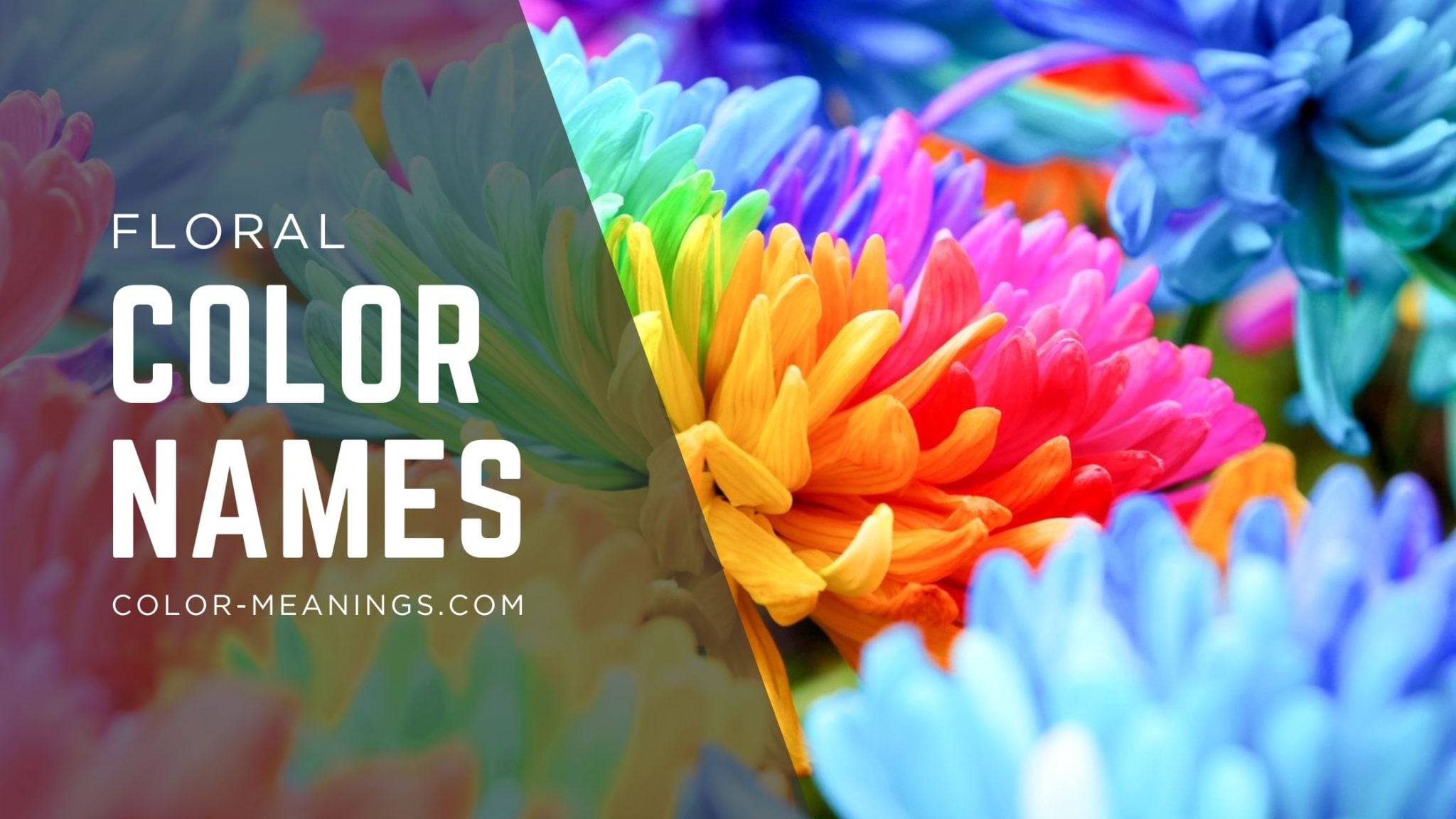 Florus Color 21 Floral Hues: Color Names Inspired by Flowers and Blossoms | Color ...