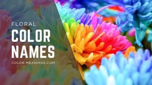 21 Floral Hues: Color Names Inspired by Flowers and Blossoms