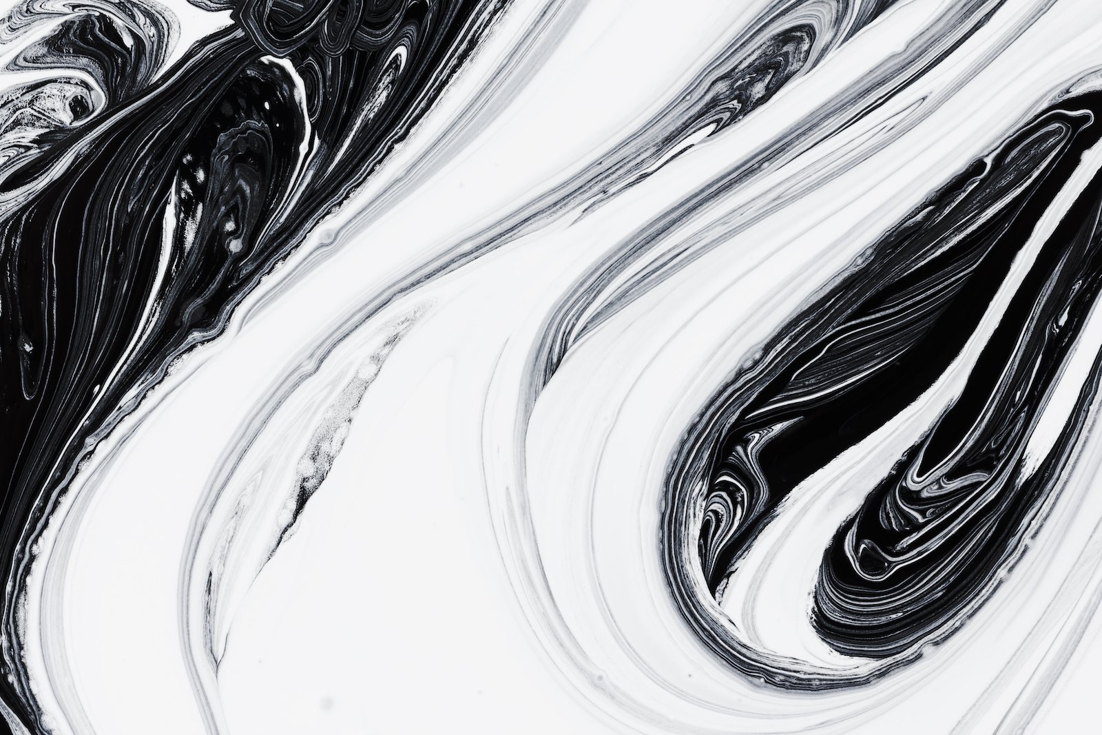 What Colour Goes With Black And White Wallpaper Infoupdate what-colour-goes-with-black-and-white-wallpaper-infoupdate