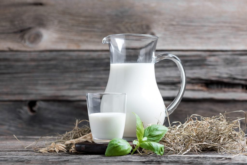 What makes milk white?