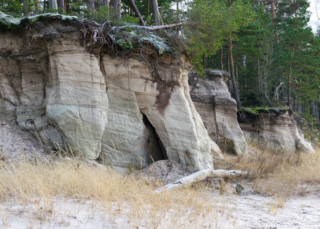 As the name suggests, siltstone is a sedimentary rock.