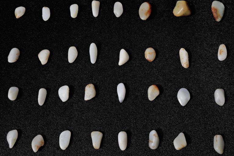 200+ Things That Are White in Nature (Full List and Photos) | Color ...