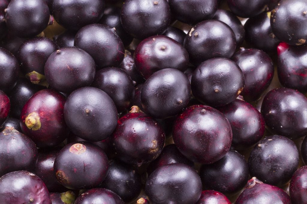 Closeup of fresh acai berries