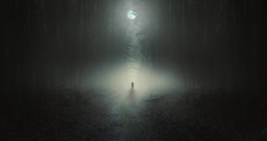 Alone strange man standing in a dark forest at night in the moonlight