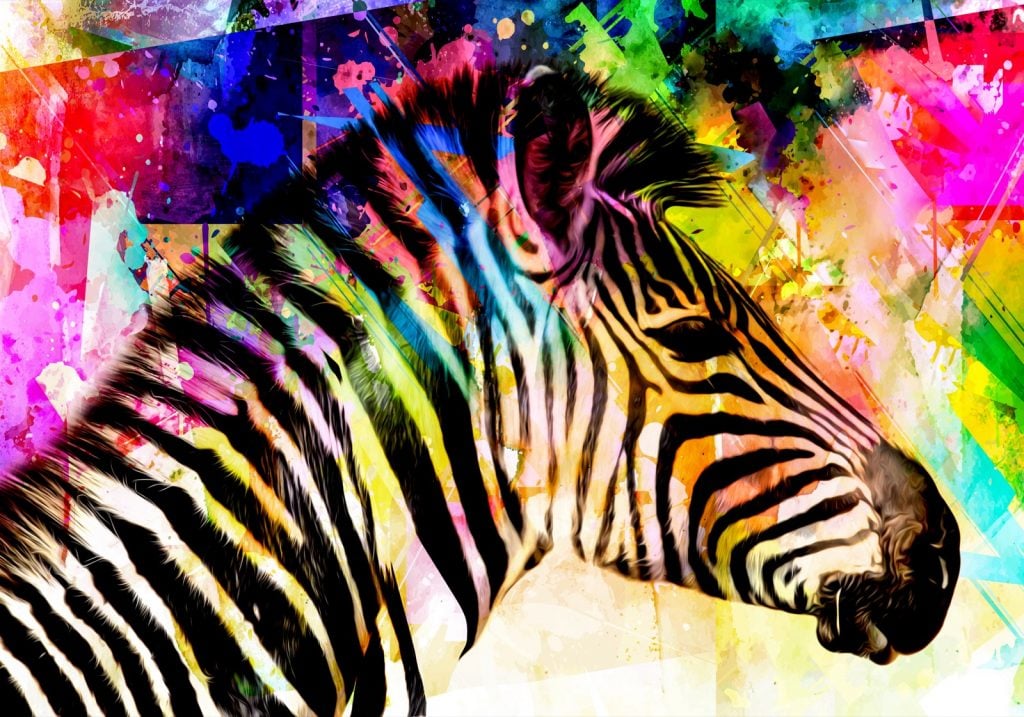 Black and white zebra with bright colors all around