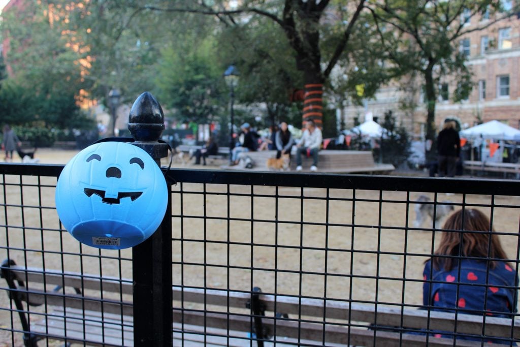 Blue Halloween pumpkin bucket hanging on a fence