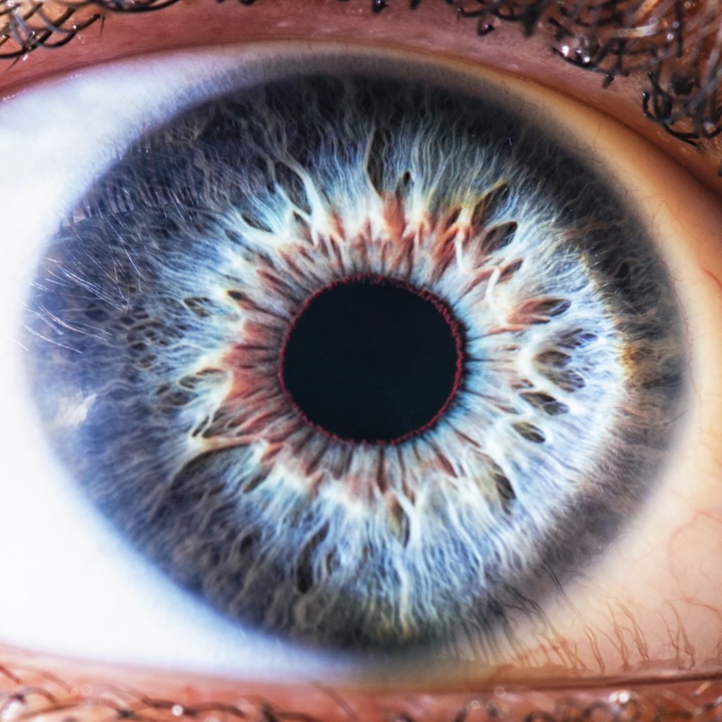 Closeup of blue eye with many details and structure