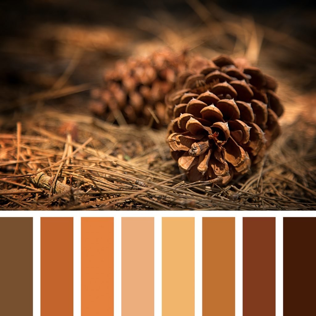 It's All About the Brown Shades Color Palette