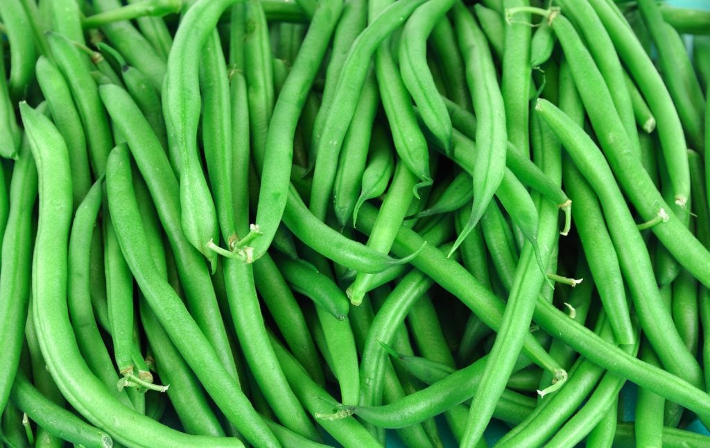Closeup of vibrant green beans