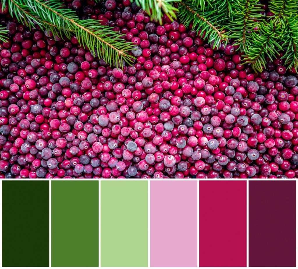 Very Berry and Green Color Palette