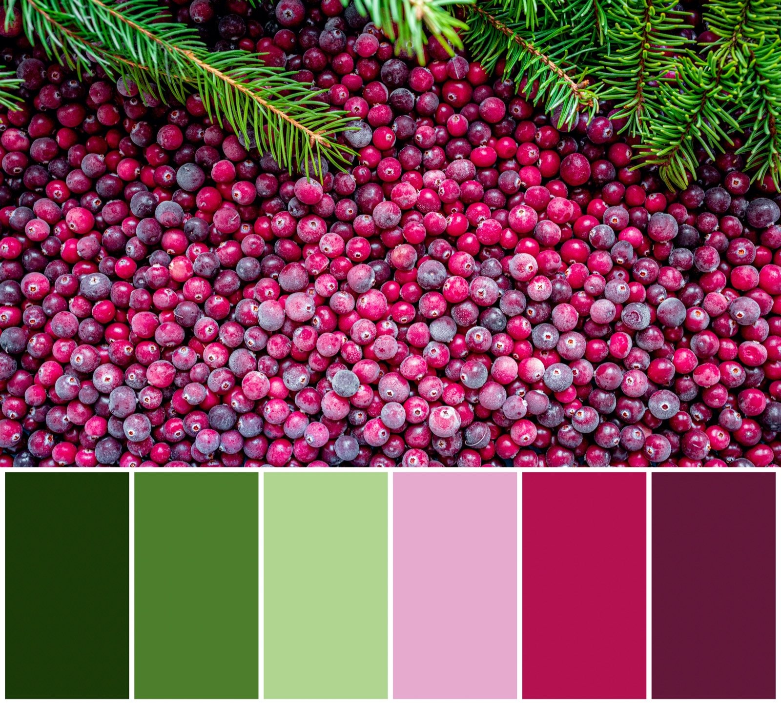 37 Christmas Color Palettes for Magical Designs Color Meanings Christmas Color Scheme