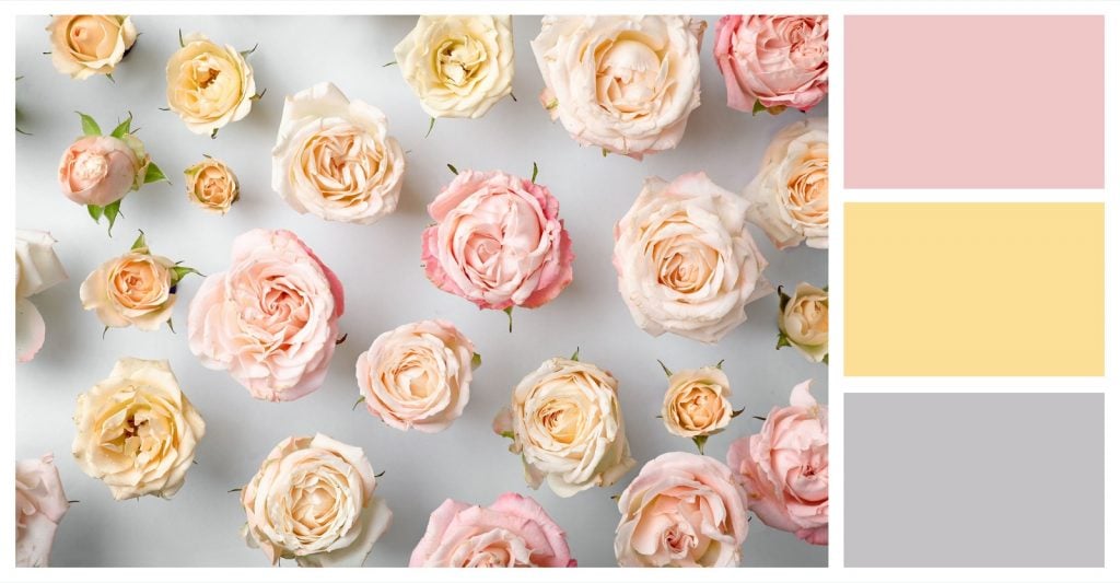 Gray and pink color palette