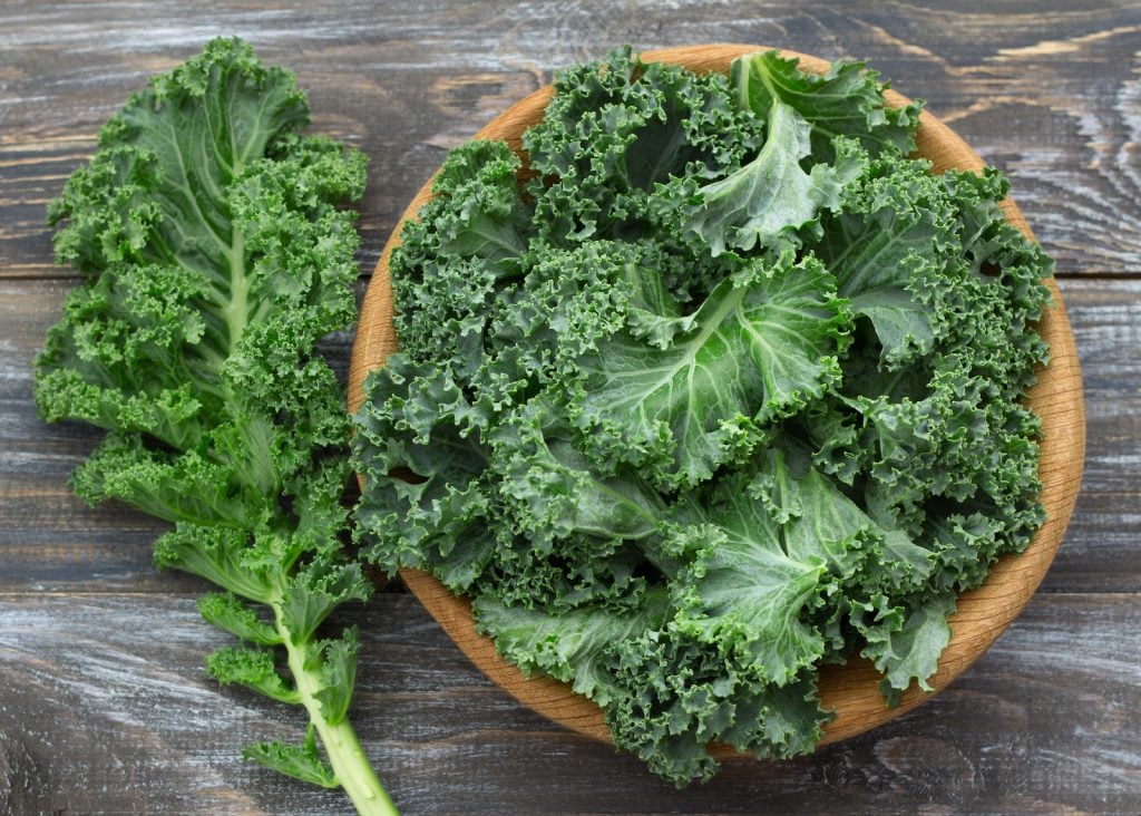 Fresh green curly kale leaves in a wooden bowl standing on a wooden table