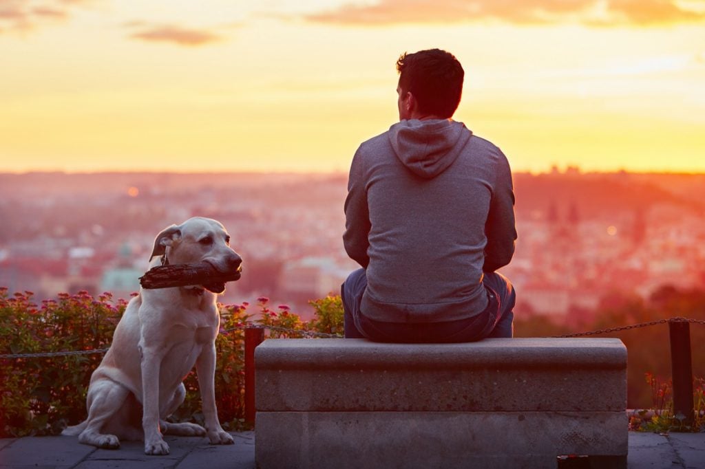 L'uomo con il suo cane che guarda l'alba