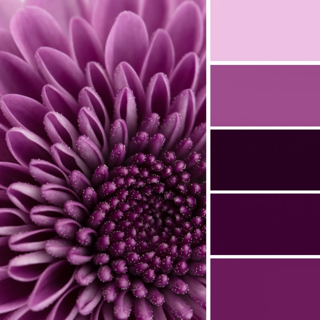 Monochromatic Colors Art