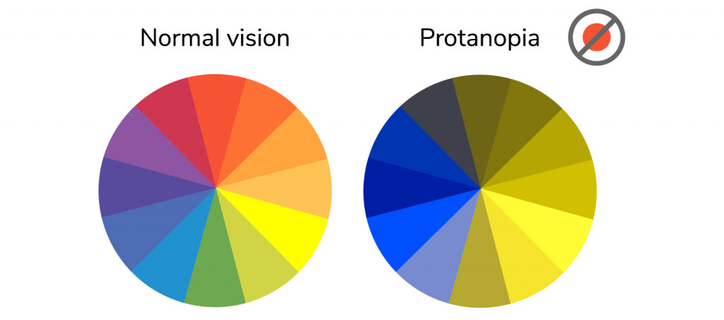Color wheels illustrating normal vision and protanopia color blindness in wasps