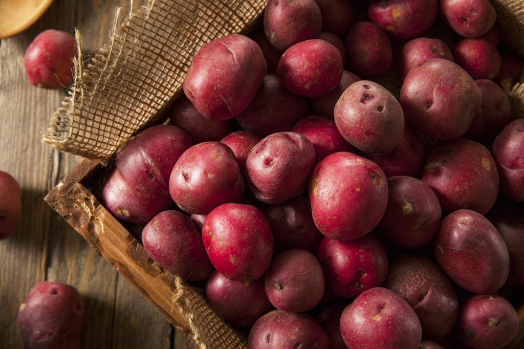 Organic raw red potatoes in wooden basket