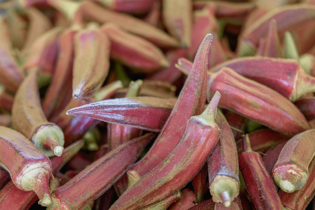Pile of red burgundy okra at farm market