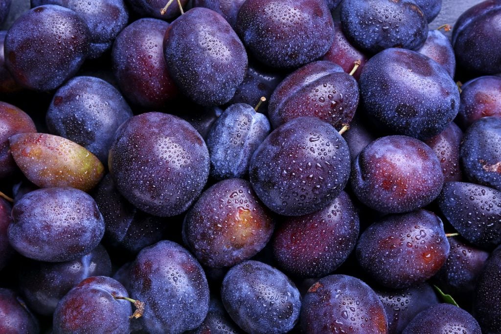 Pile of plums with dew on them