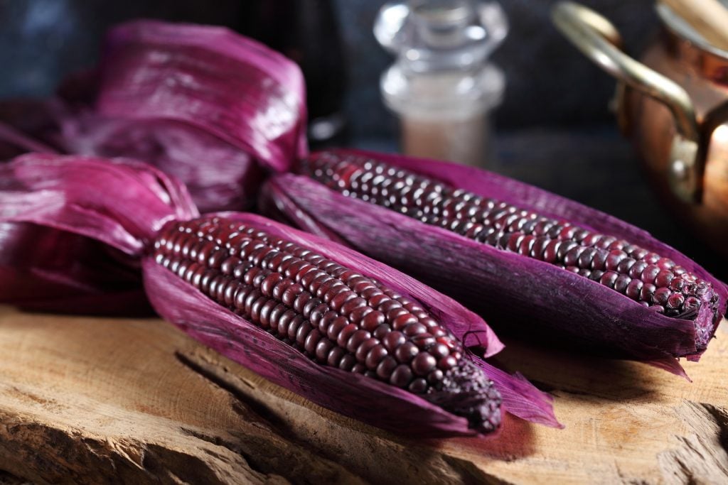 Two purple corn cobs on a rustic wooden board