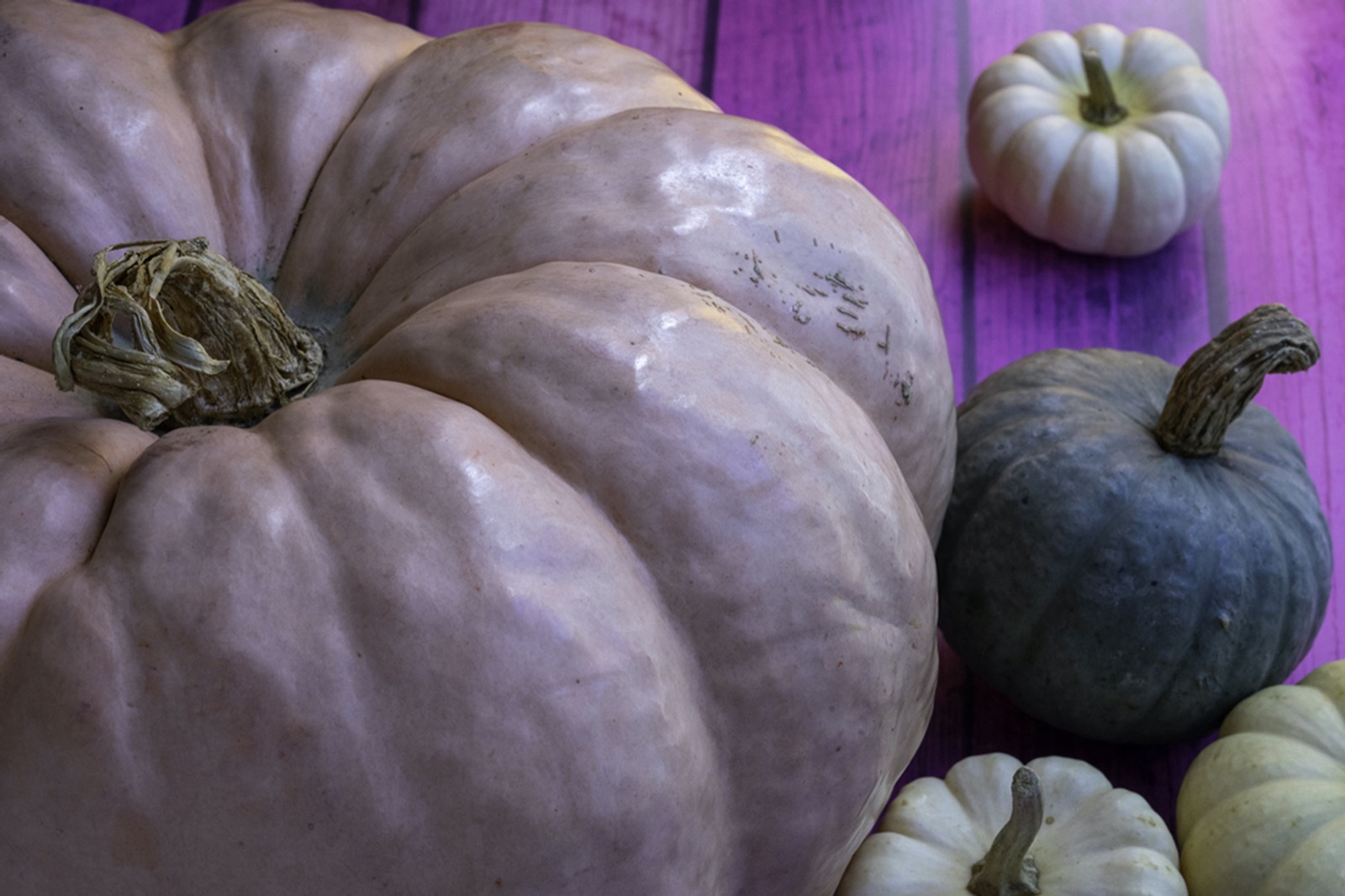11 Pumpkin Colors And Their Meanings Color Meanings