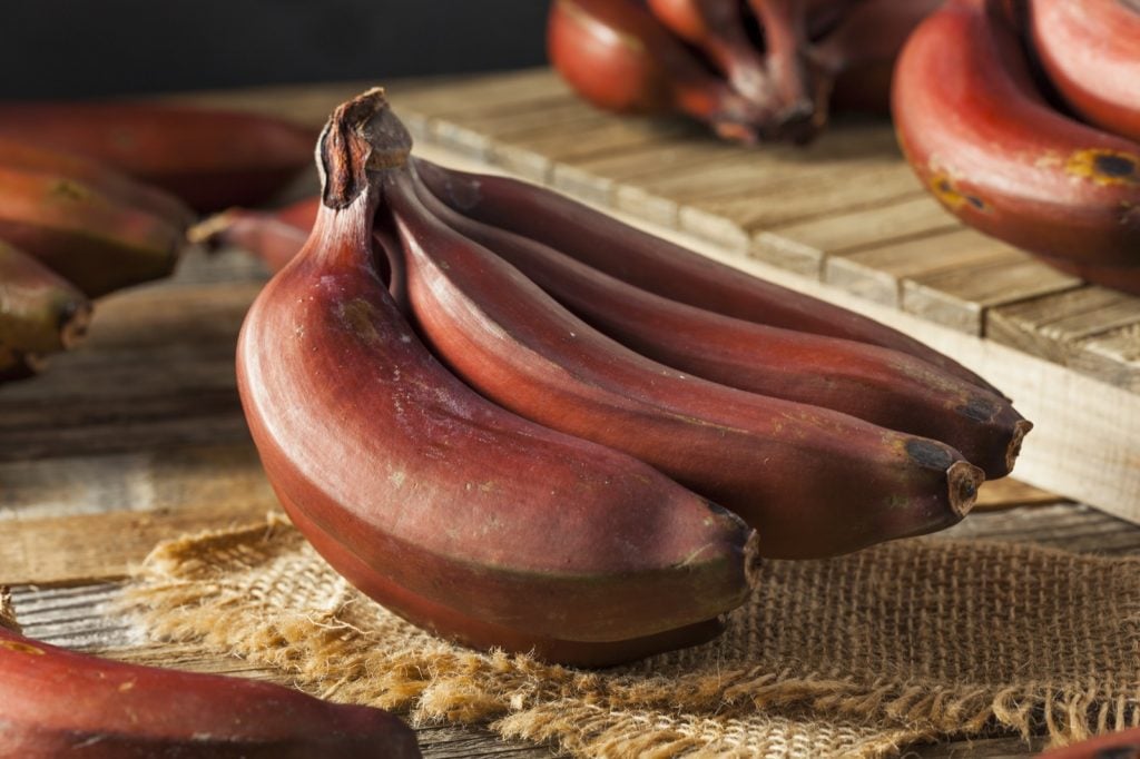 Bunch of organic red bananas on table
