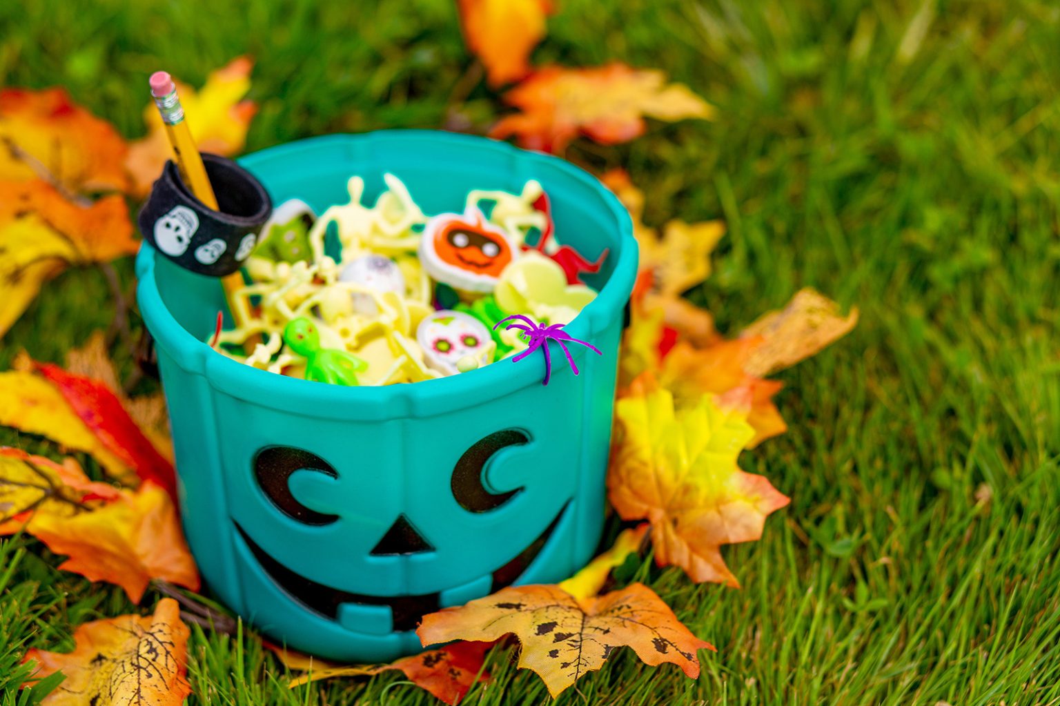 Teal Pumpkins On Halloween What Do They Mean Color Meanings teal-pumpkins-on-halloween-what-do-they-mean-color-meanings
