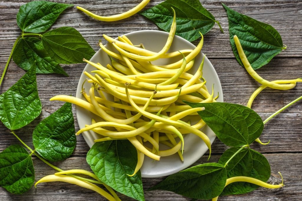 Top view of yellow wax beans on a plate