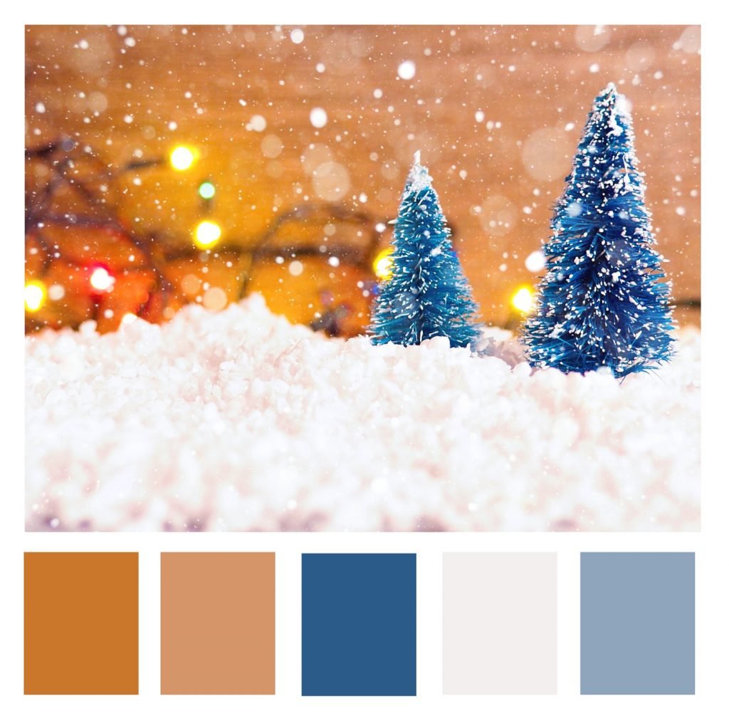 Cool Blue and Warm Brown Color Palette