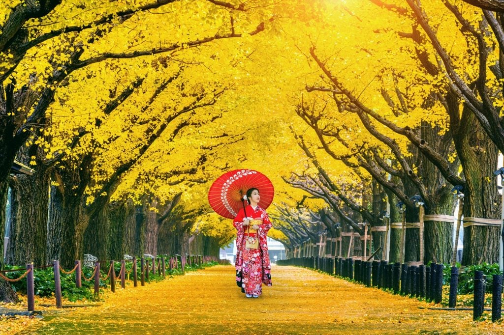 Woman wearing Japanese kimono near yellow ginkgo trees symbolizing bravery and prosperity