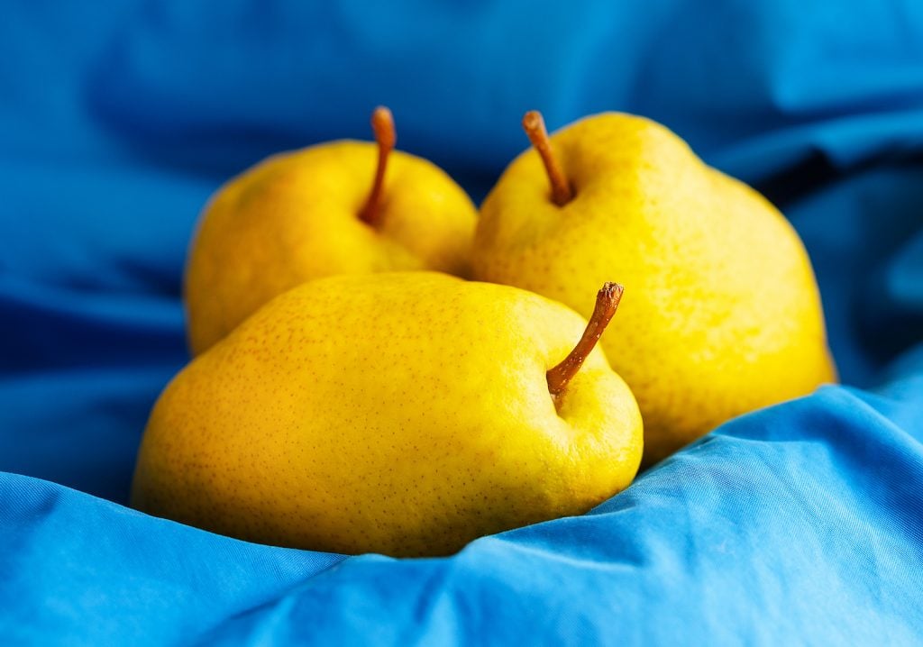 Closeup of three ripe yellow pears on a blue background